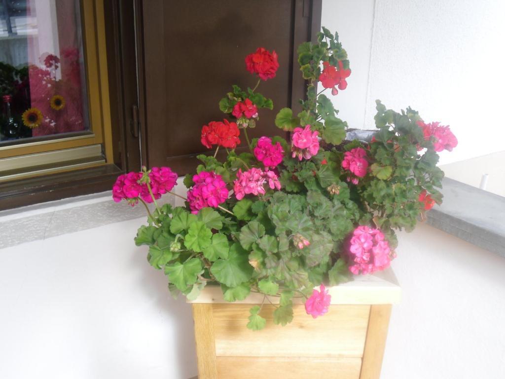 Garni Margherita Corvara In Badia Extérieur photo